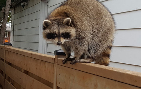 Thumbnail 20171104 101007