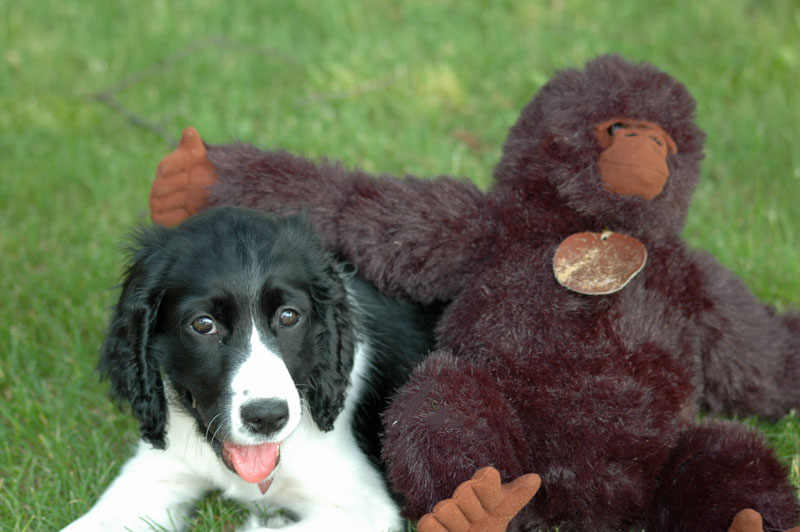 Photos 1000 1225 Monaghan 2006 06 17  1259