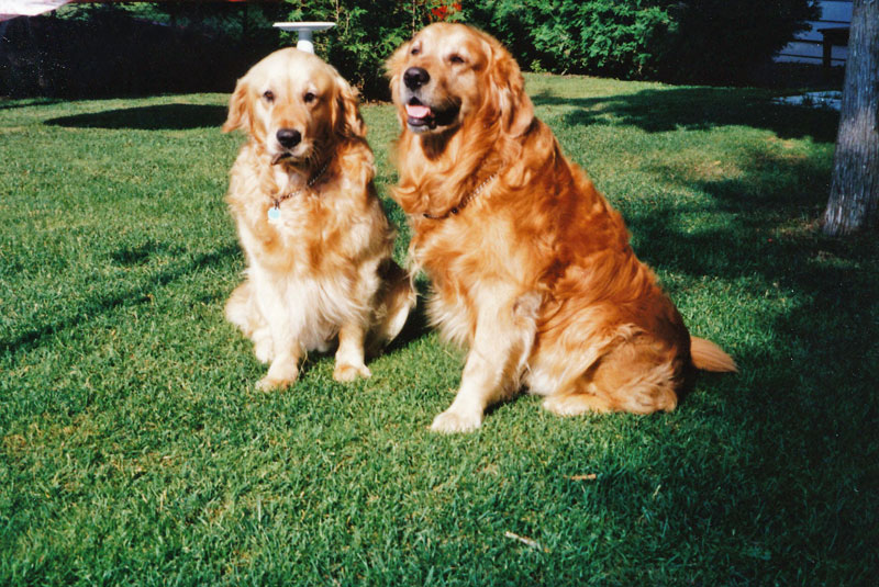 Photos 1000 1225 Monaghan 2008 12 09  1070