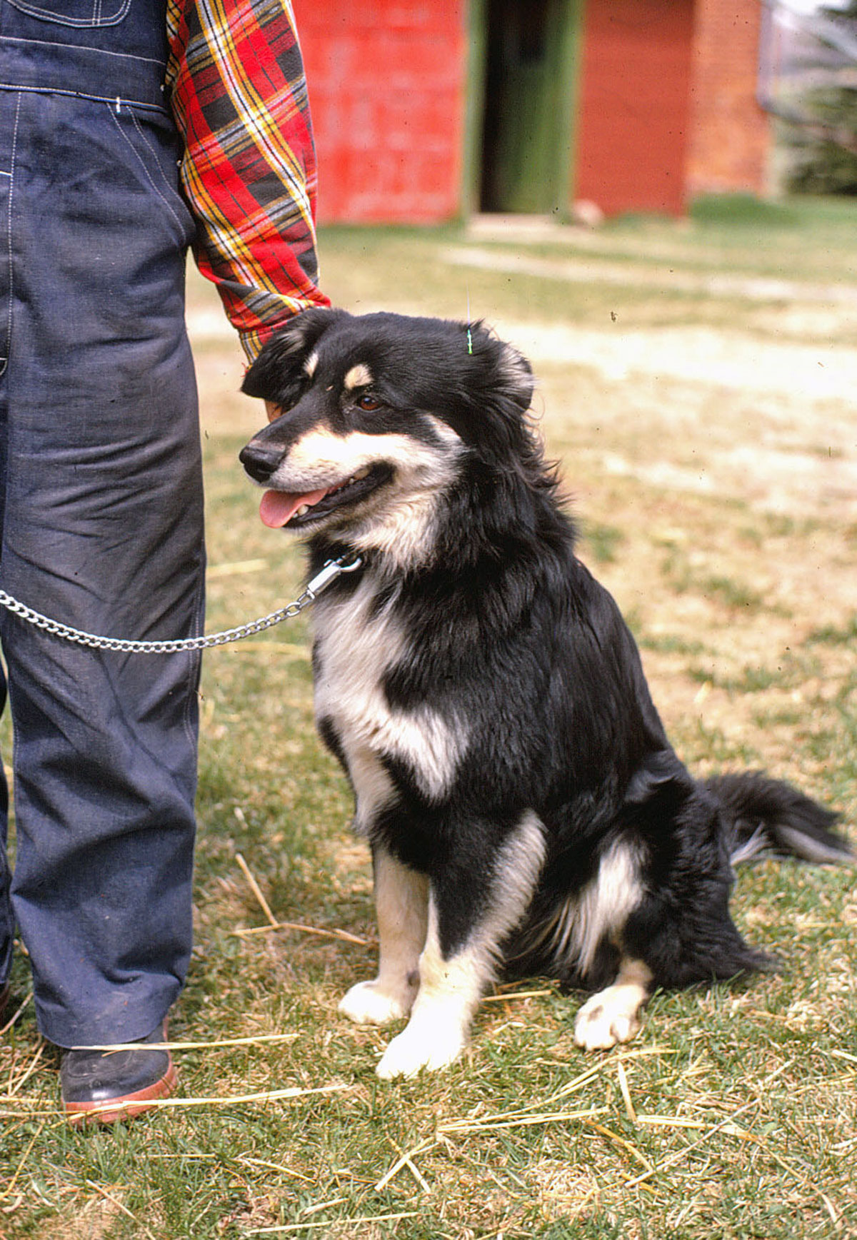 Photos 801 1000 Monaghan 2008 12 10  836